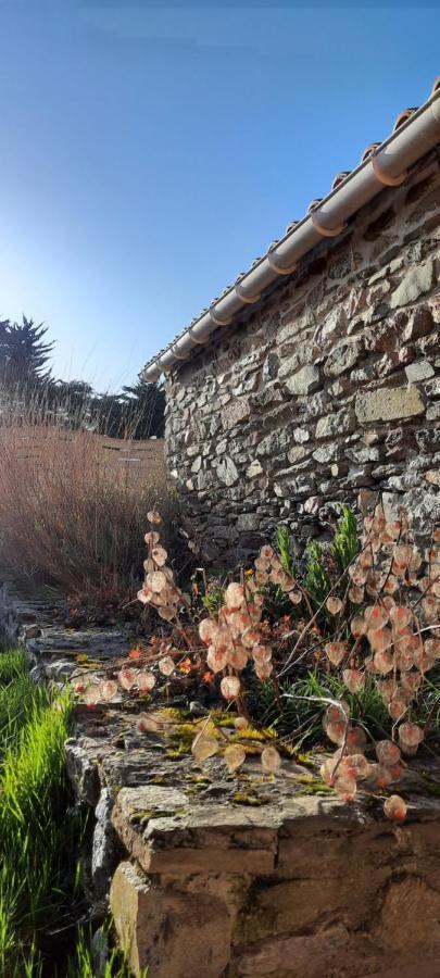 Brétignolles-sur-Mer Maison De Village 4 A 6 Pers A 5 Min De La Mer מראה חיצוני תמונה